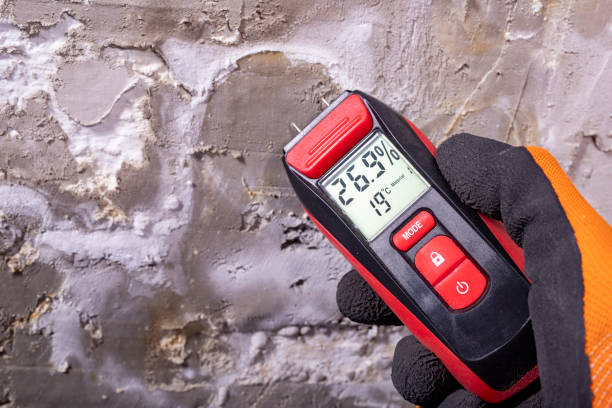 Trusted Dover, OH Mold Remediation Experts