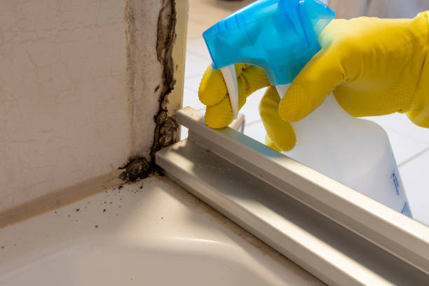 Mold Remediation for Historic Buildings